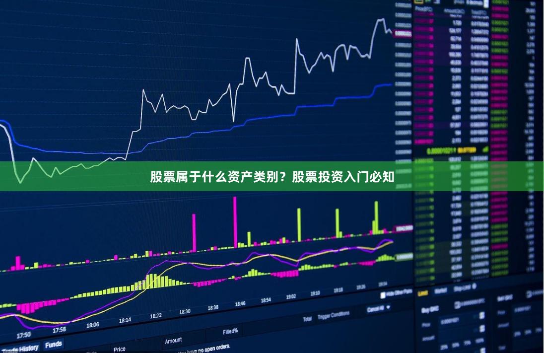 股票属于什么资产类别？股票投资入门必知